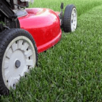 Cleaning/Lawn Services